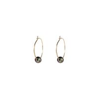 Kasia Earrings, 1.25" Gold Fill Hoop and Tahitian Black Pearl Earrings Sayulita Sol