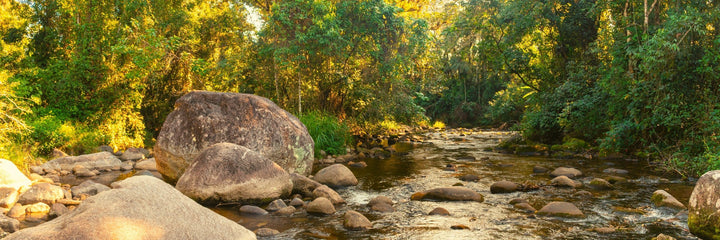 Day trip: Vallarta Botanical Garden