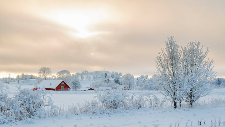 Travel With Me- Sweden