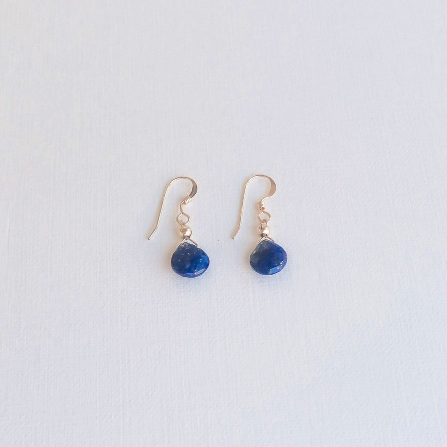 Lapis Lazuli Isla Earrings in Gold Earrings Sayulita Sol Jewelry 